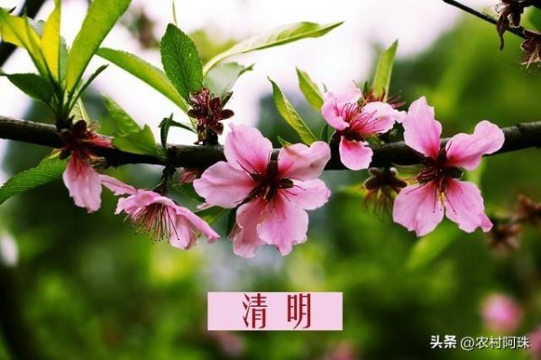 清明过后，将迎3大变化！关乎就业、消费、钱袋子，家家都要留心