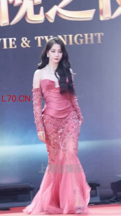 陈数出席中国影视之夜 红毯星光璀璨